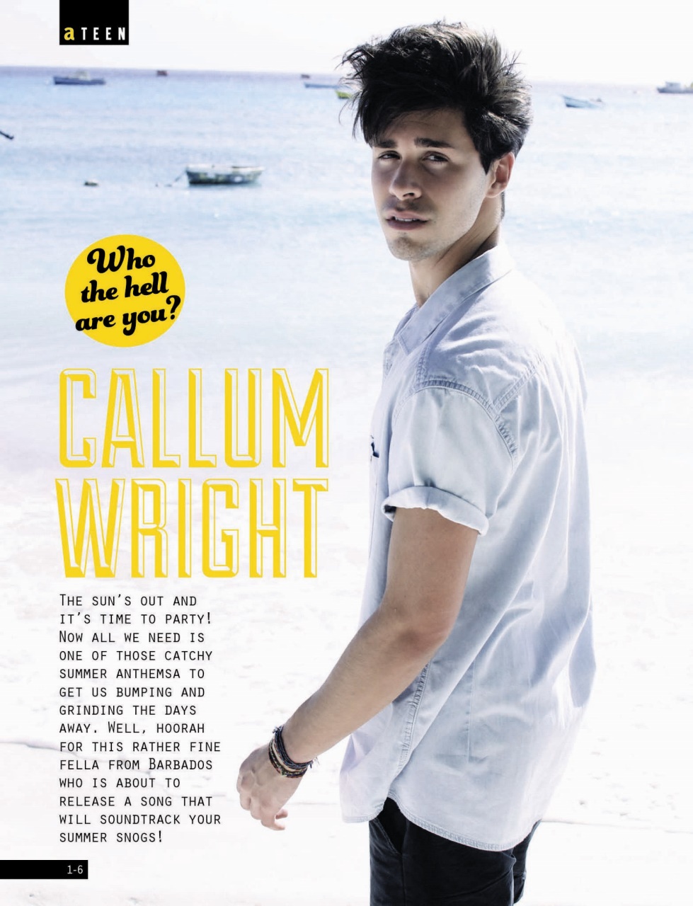 Attitude Preview Pages