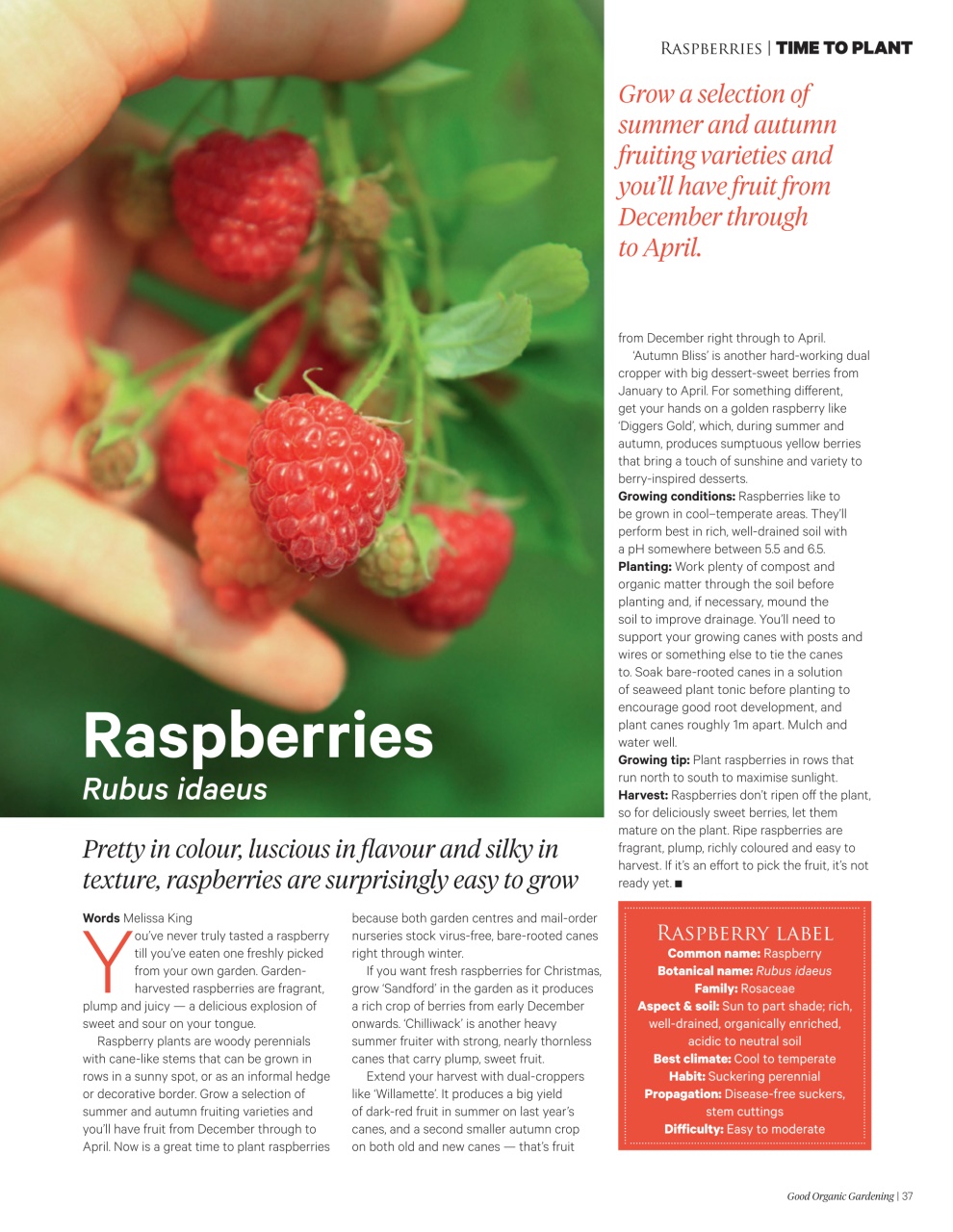 Good Organic Gardening Preview Pages