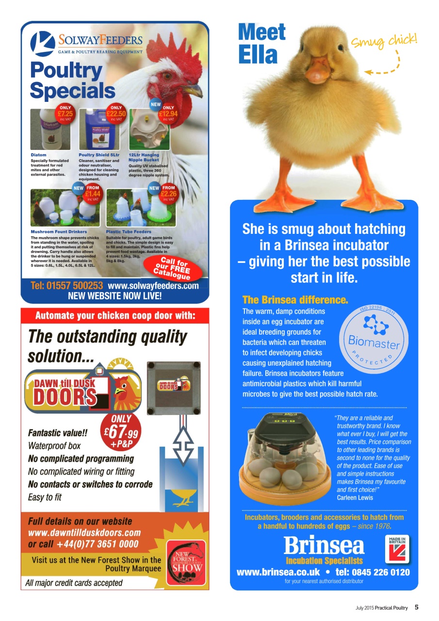 Practical Poultry Preview Pages