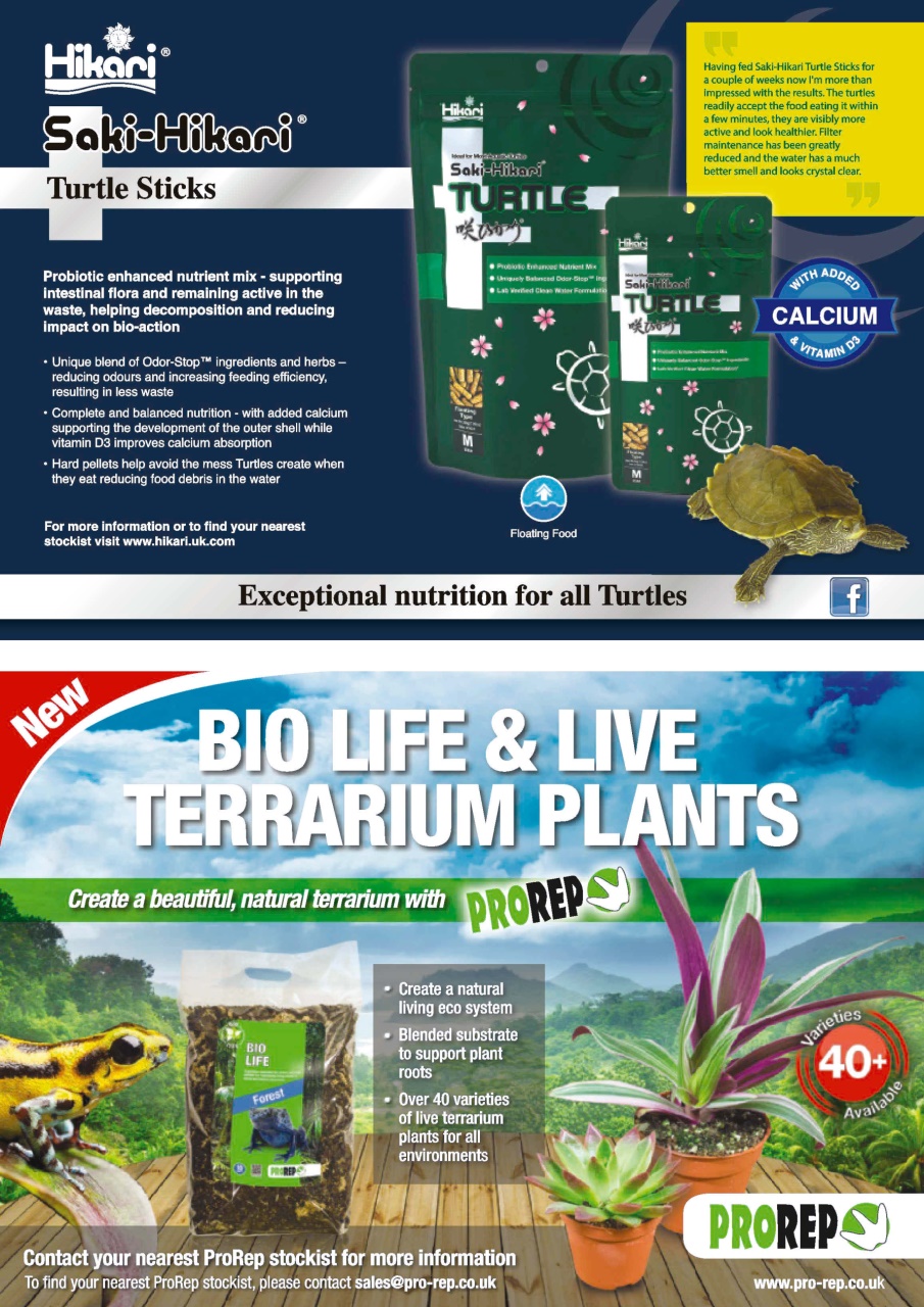Practical Reptile Keeping Preview Pages