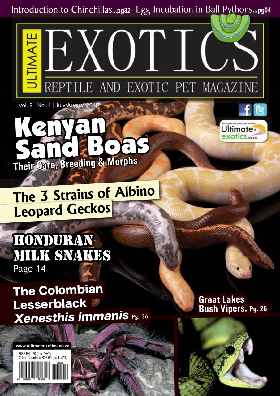 Ultimate Exotics Preview Pages