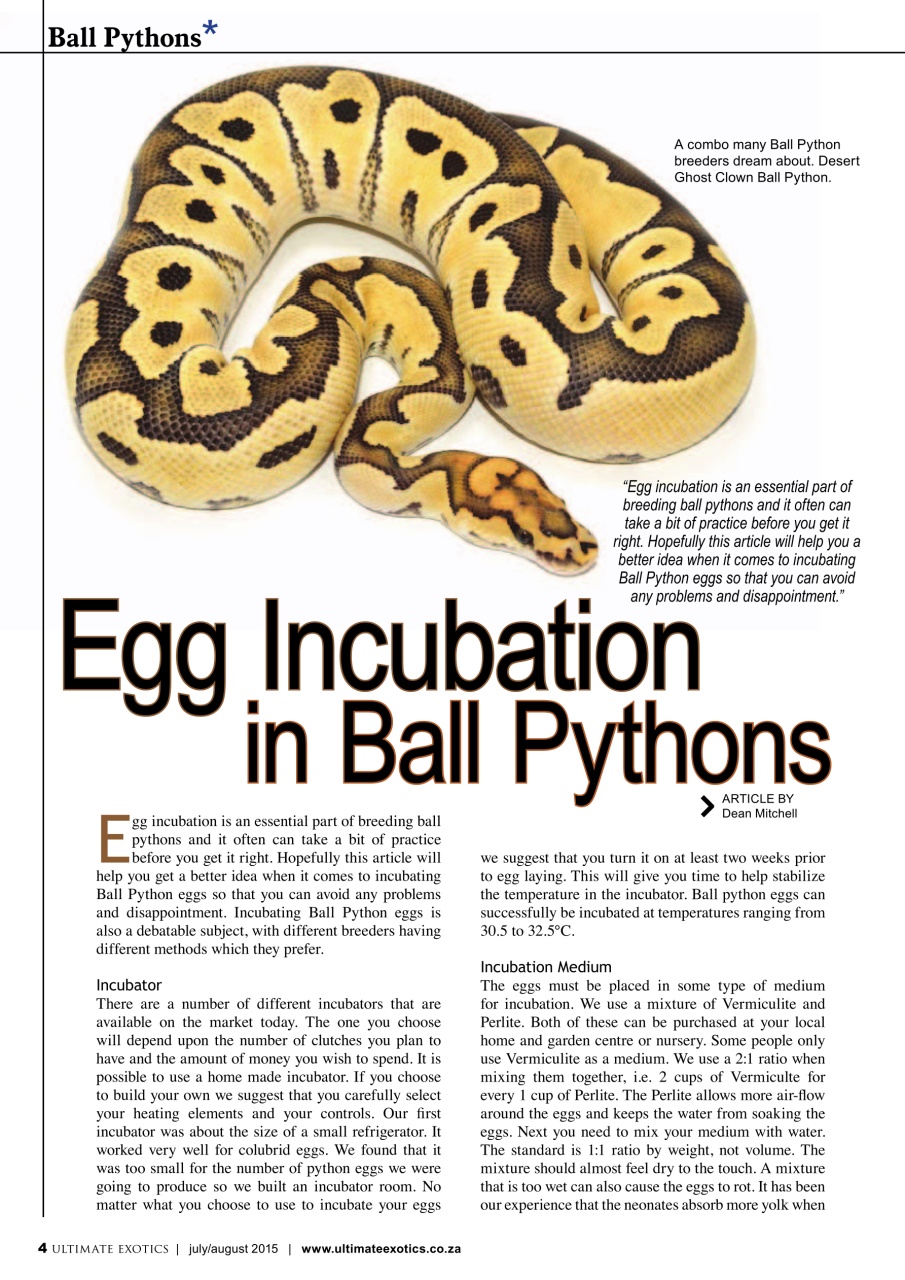 Ultimate Exotics Preview Pages