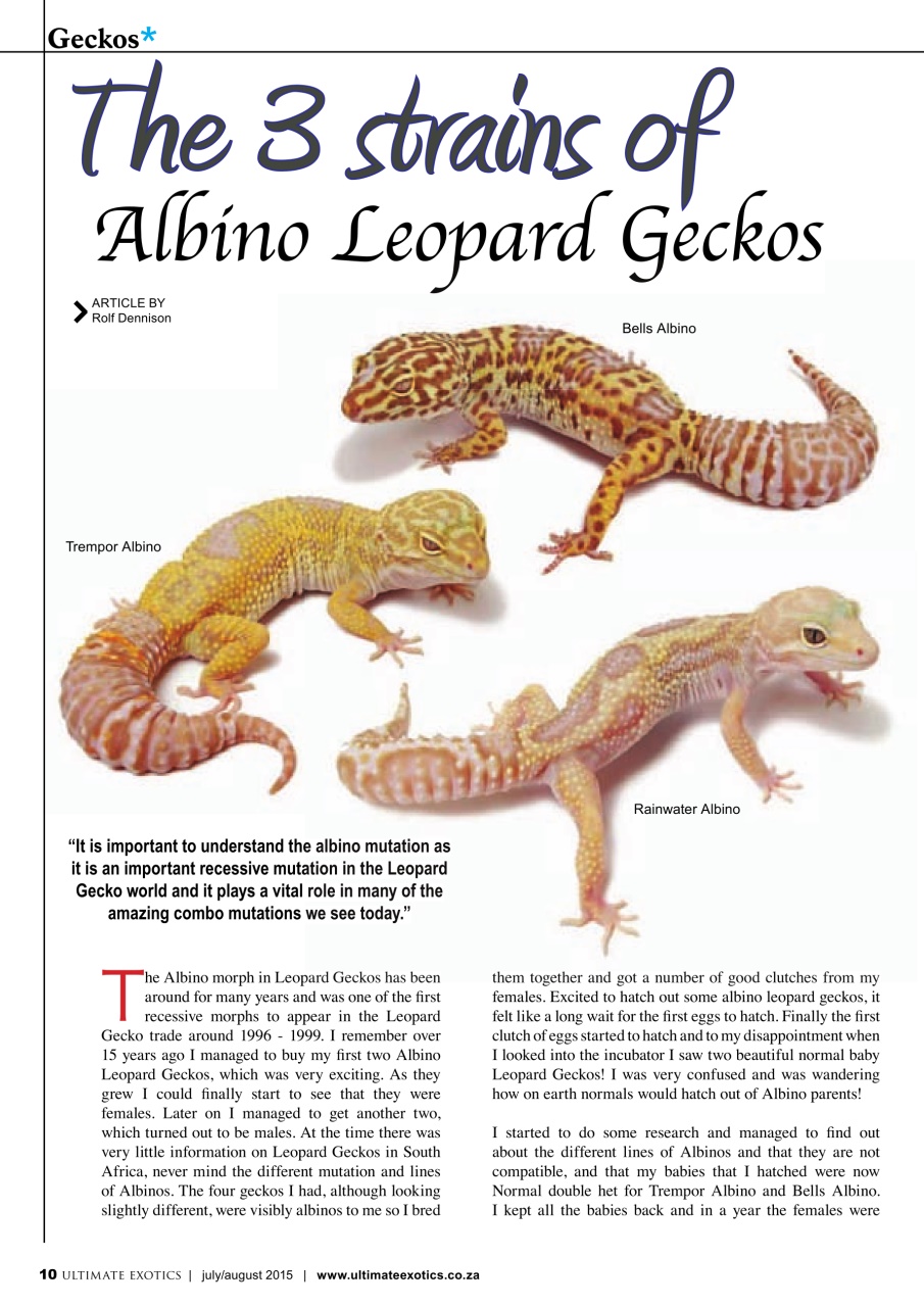 Ultimate Exotics Preview Pages