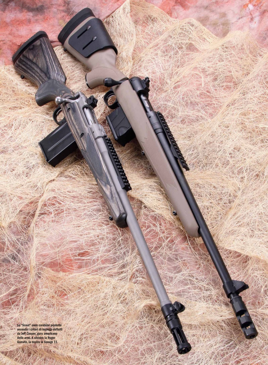 Armi E Tiro Preview Pages