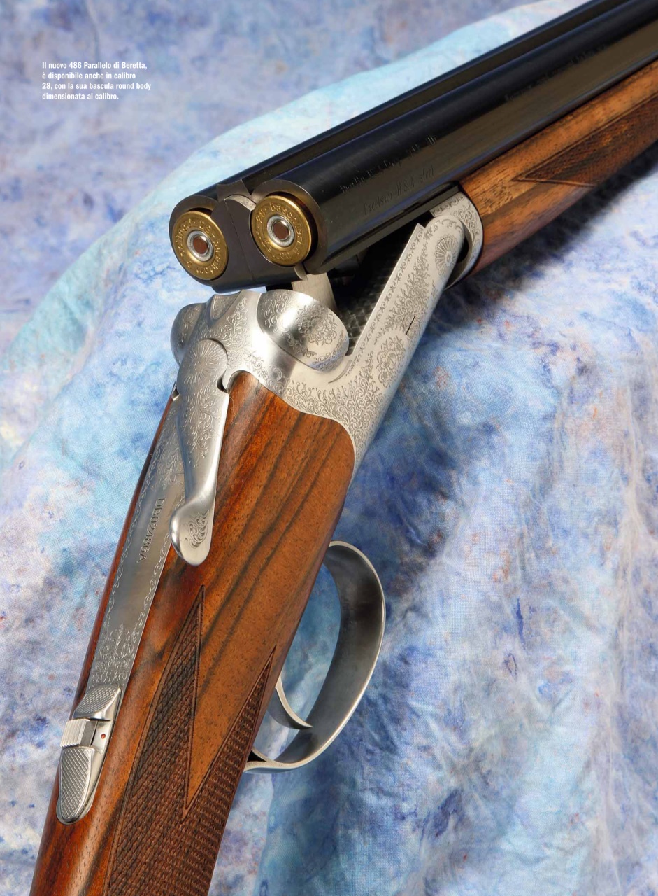 Armi E Tiro Preview Pages