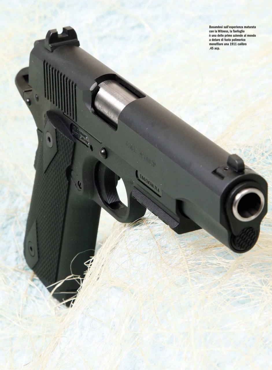 Armi E Tiro Preview Pages