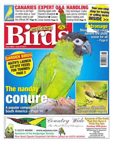 Cage & Aviary Birds issue No. 5860 The Nanday Conure