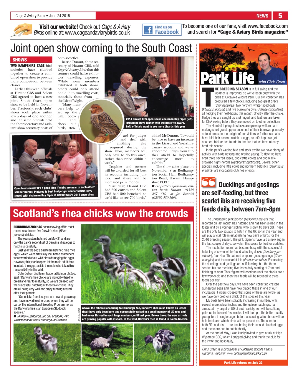 Cage & Aviary Birds Preview Pages