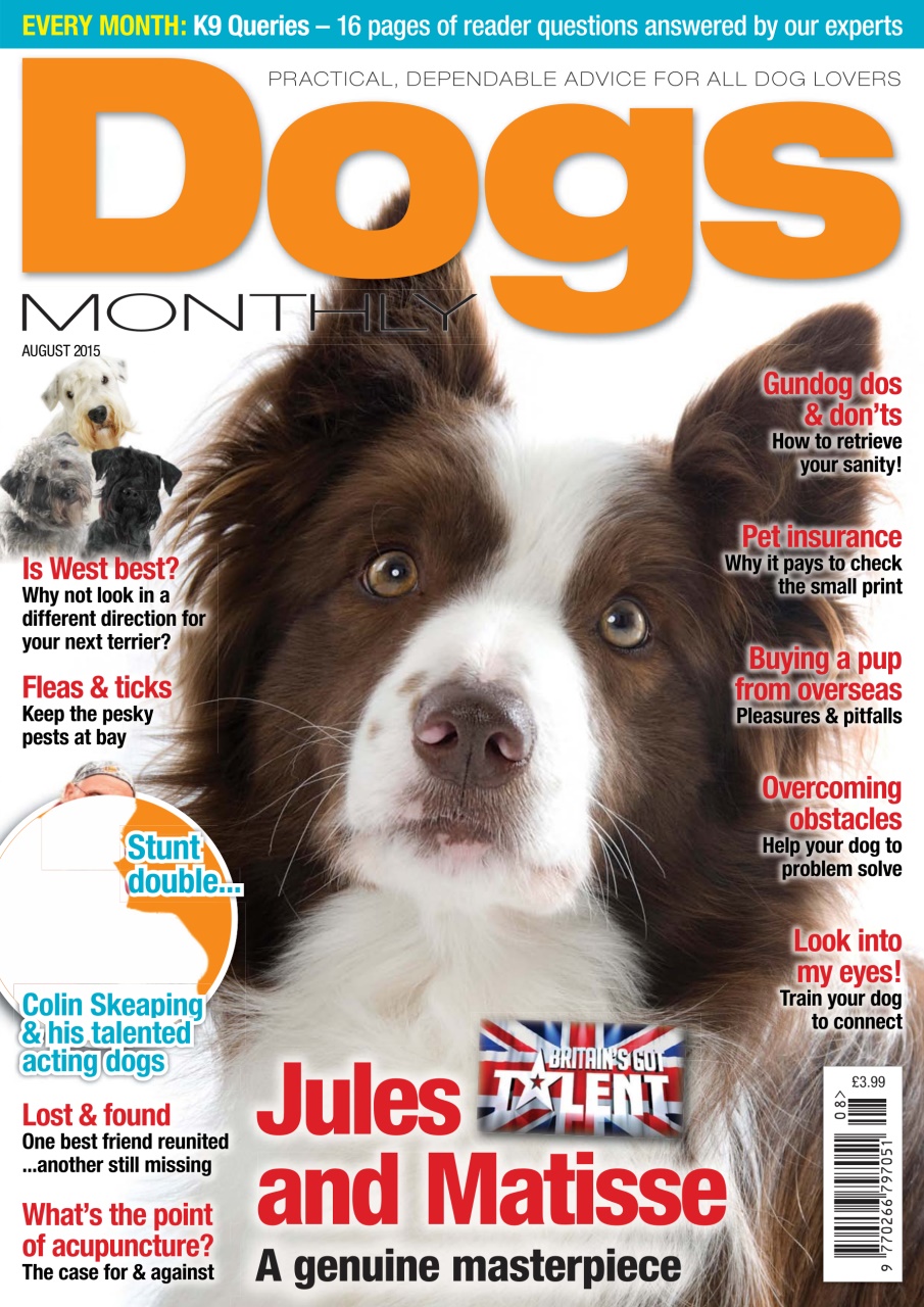 Dogs Monthly Preview Pages