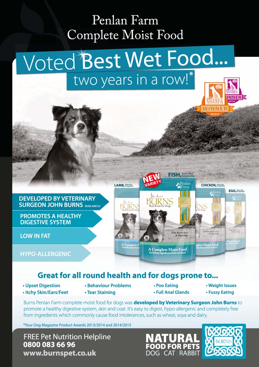 Dogs Monthly Preview Pages