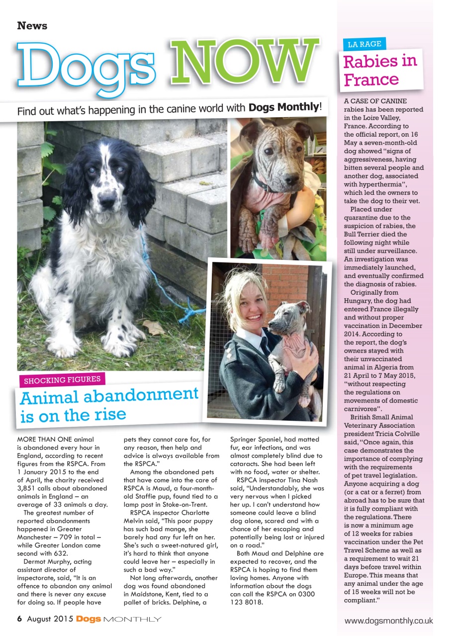 Dogs Monthly Preview Pages