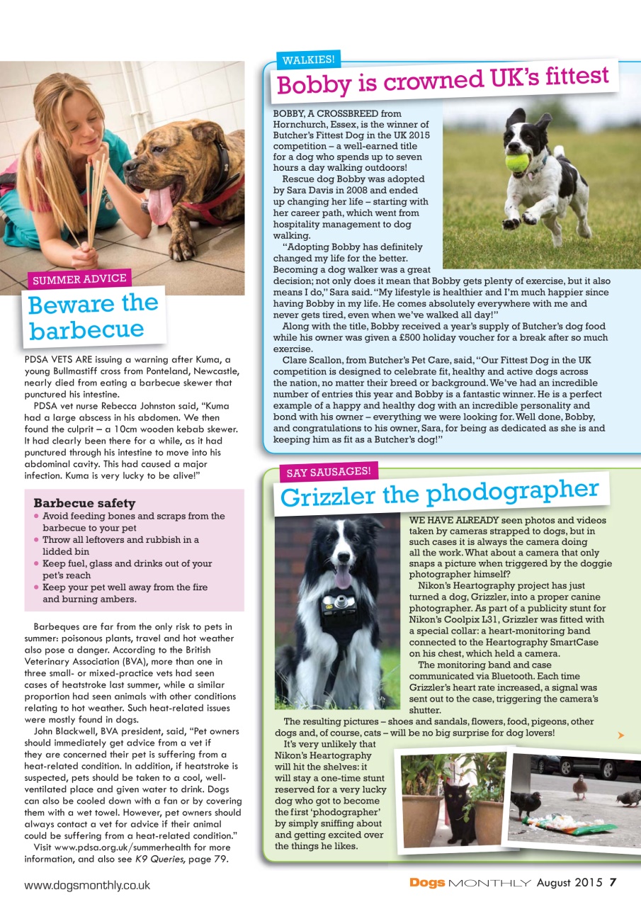 Dogs Monthly Preview Pages