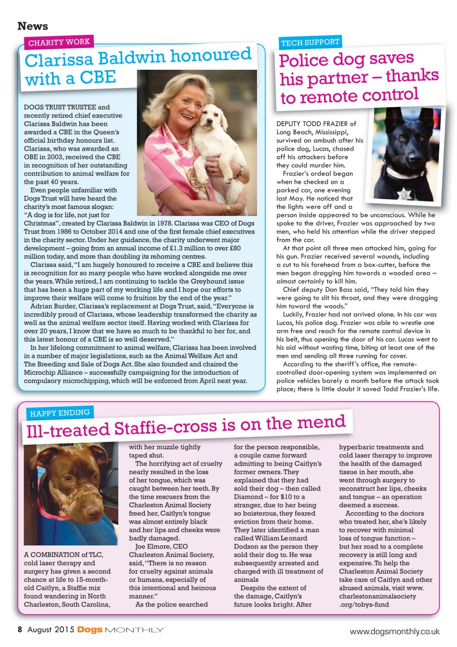 Dogs Monthly Preview Pages