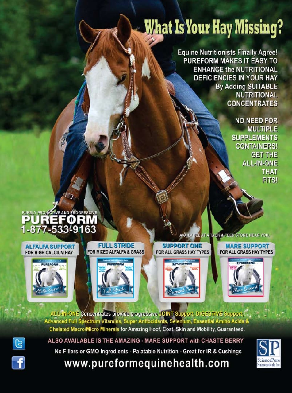 Western Horse Review Preview Pages