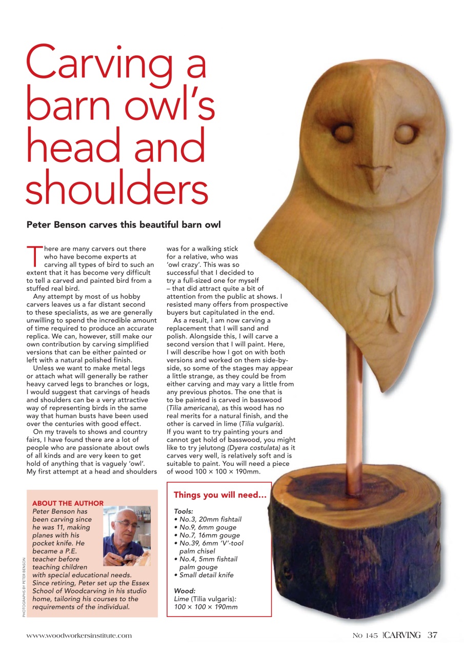 Woodcarving Preview Pages