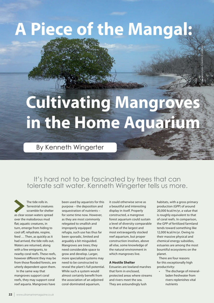 UltraMarine Magazine Preview Pages