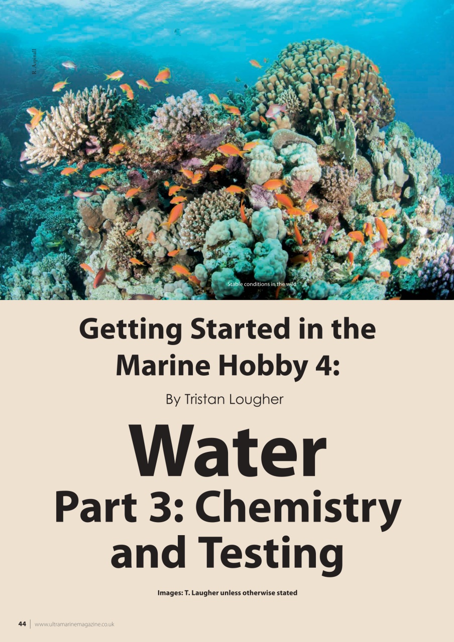 UltraMarine Magazine Preview Pages