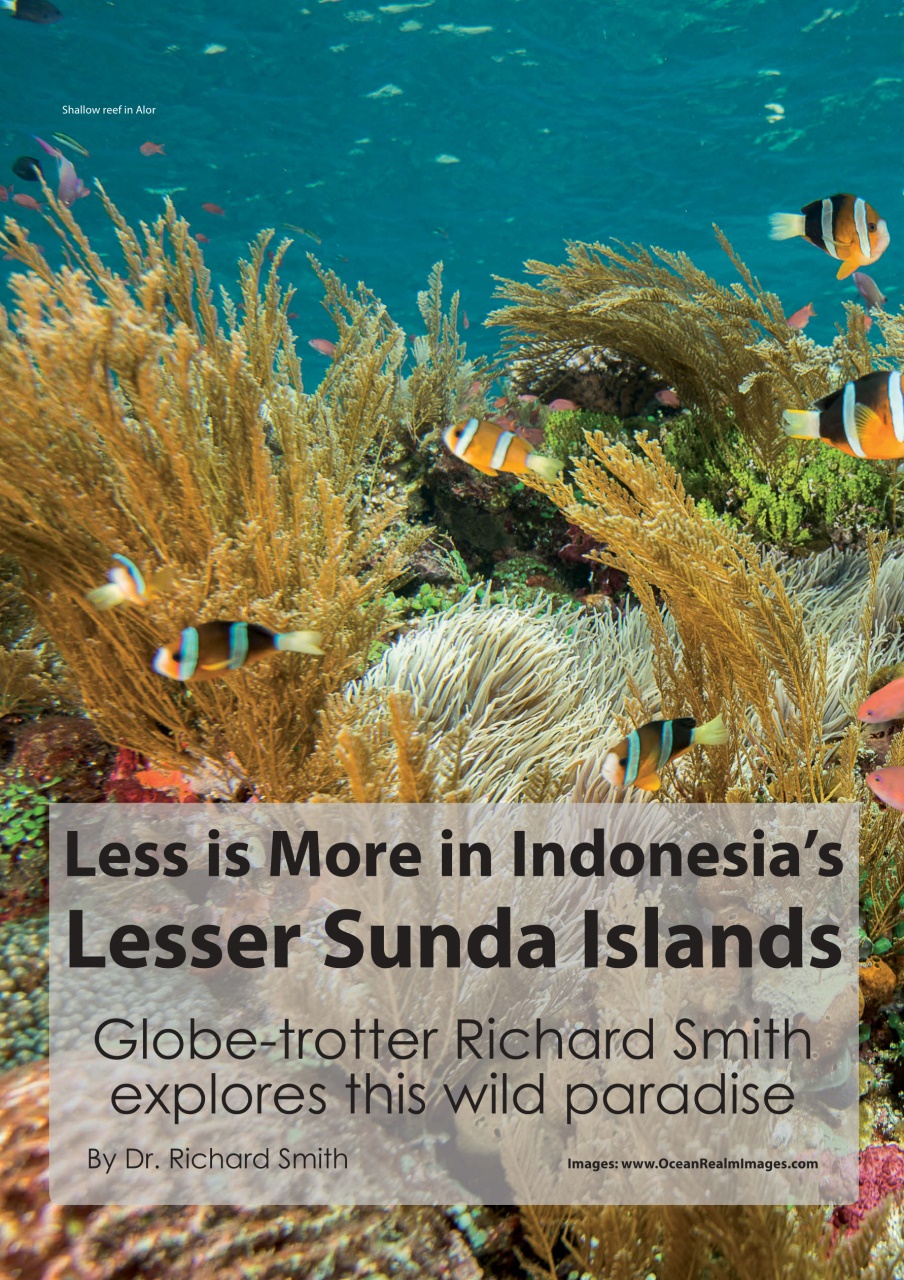 UltraMarine Magazine Preview Pages