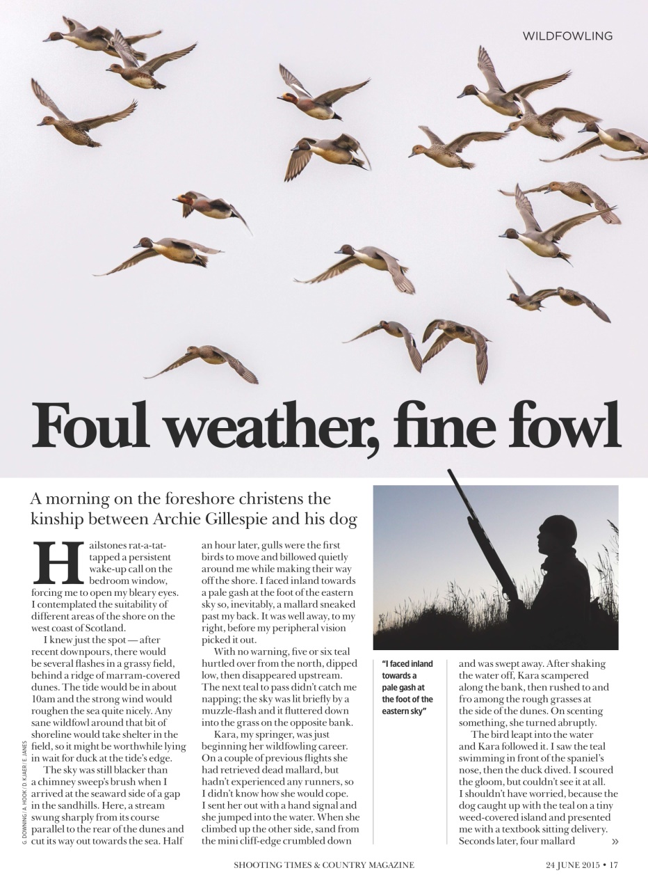 Shooting Times & Country Preview Pages