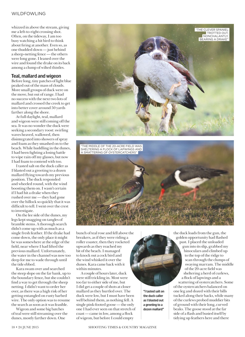 Shooting Times & Country Preview Pages