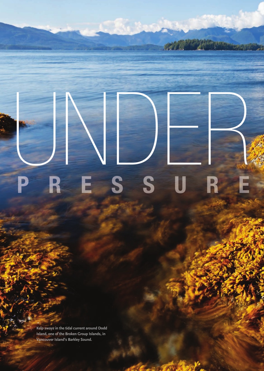 Canadian Geographic Preview Pages