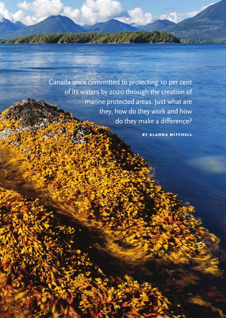 Canadian Geographic Preview Pages