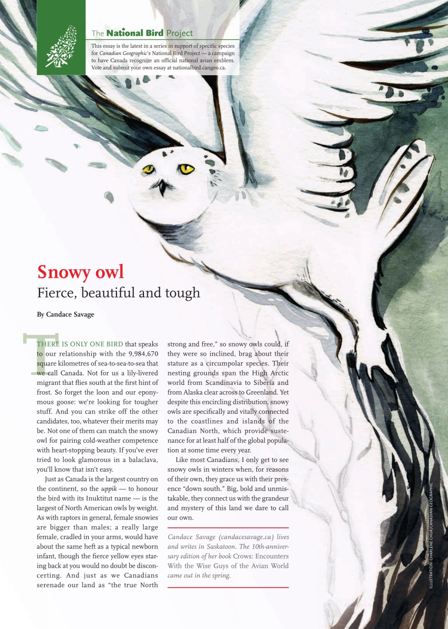 Canadian Geographic Preview Pages