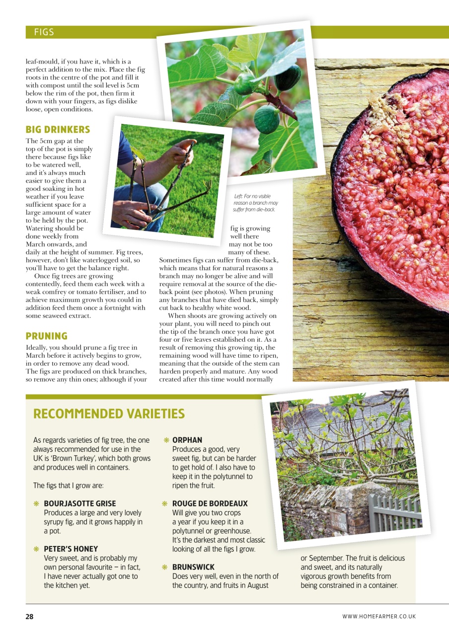 Home Farmer Magazine Preview Pages