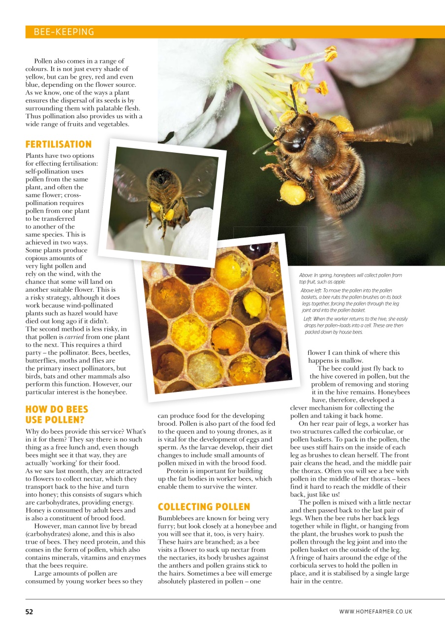 Home Farmer Magazine Preview Pages