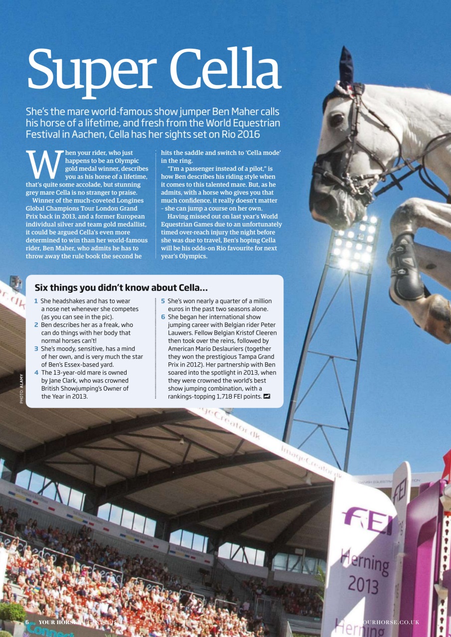 Your Horse Preview Pages