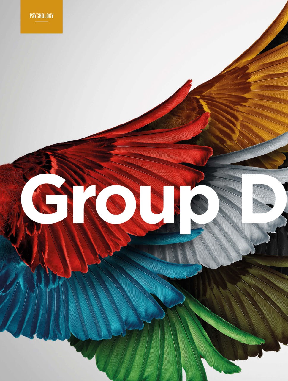 Row360 Preview Pages