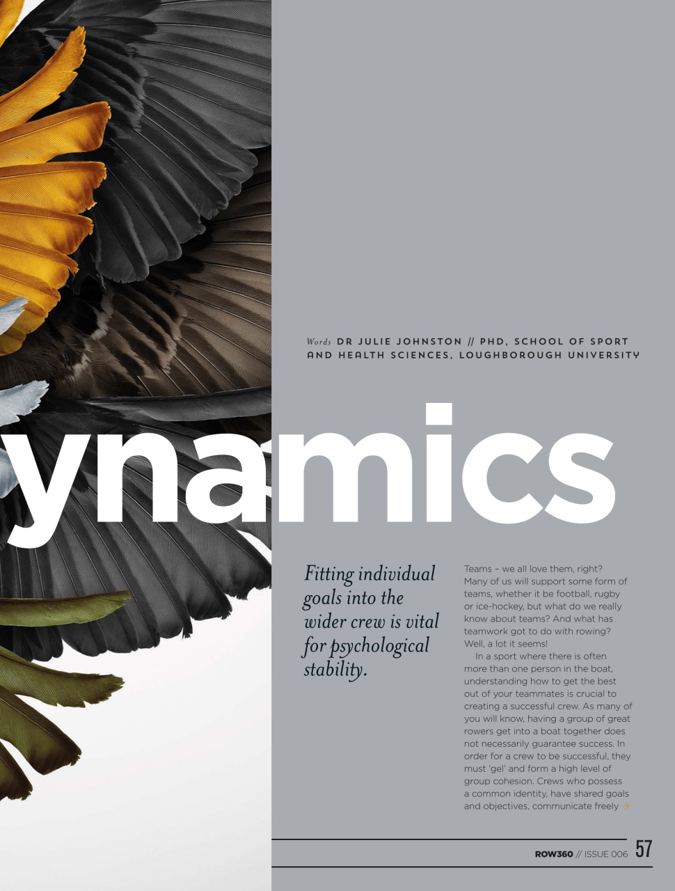 Row360 Preview Pages