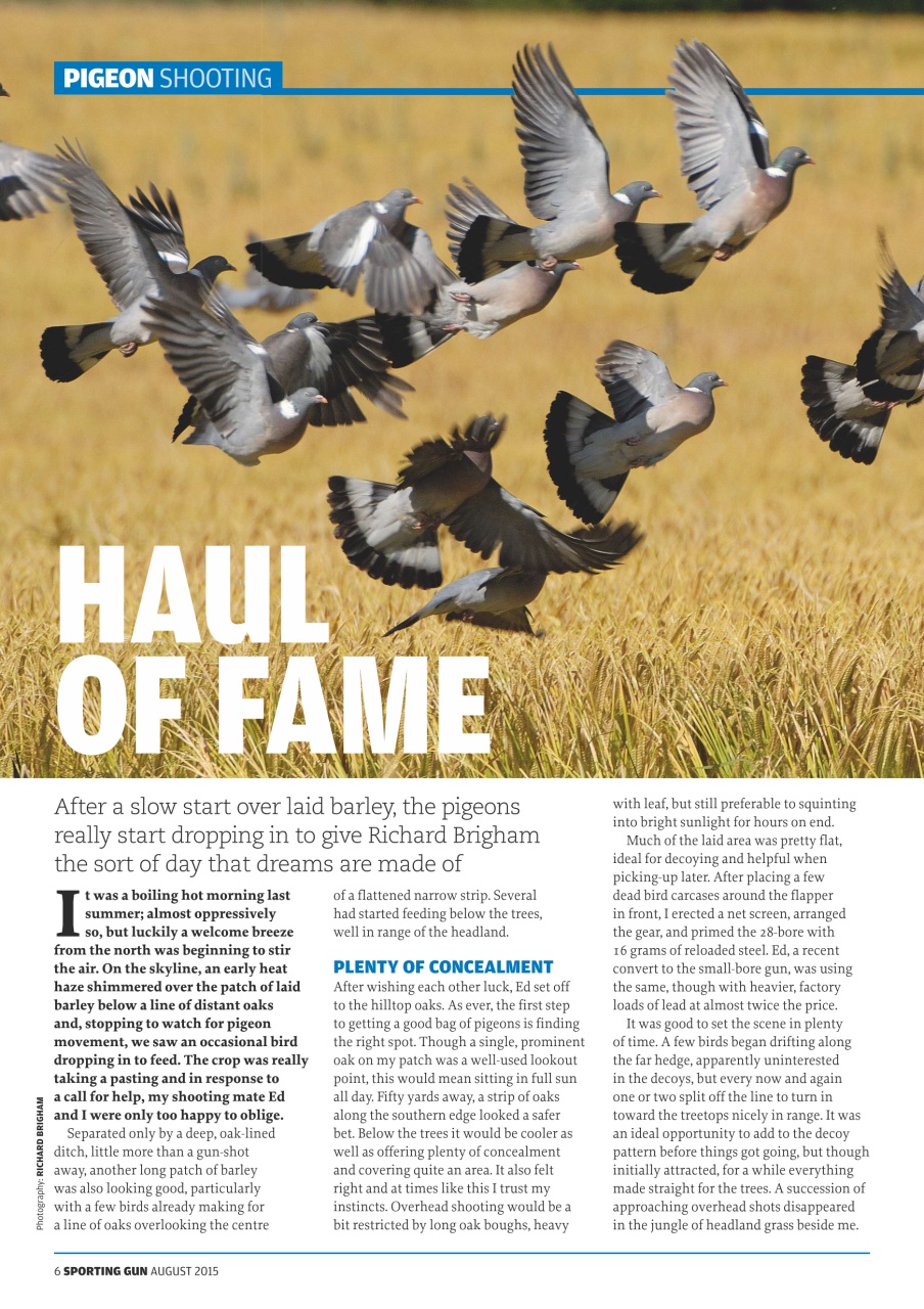 Sporting Gun Preview Pages