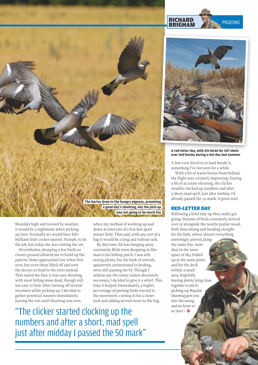 Sporting Gun Preview Pages