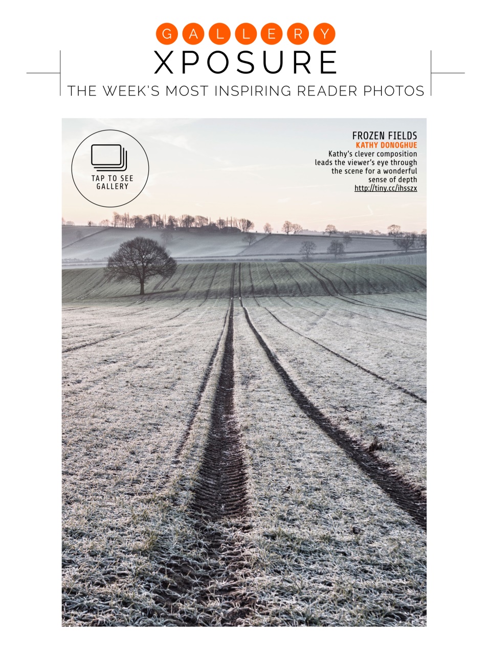 Photography Week Preview Pages