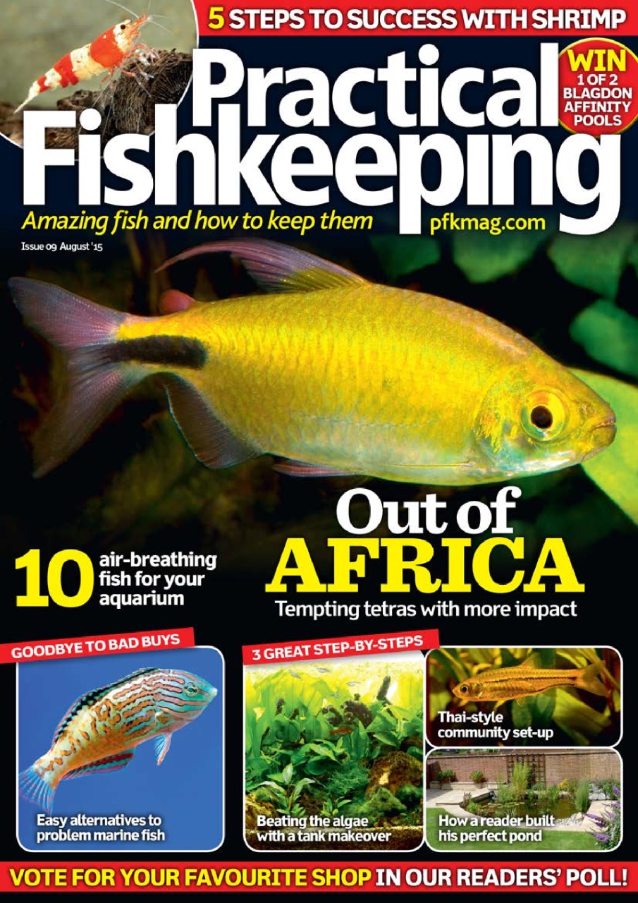Practical Fishkeeping Preview Pages
