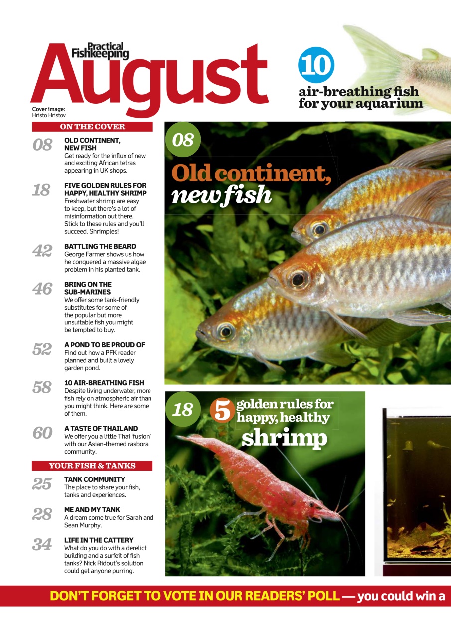 Practical Fishkeeping Preview Pages
