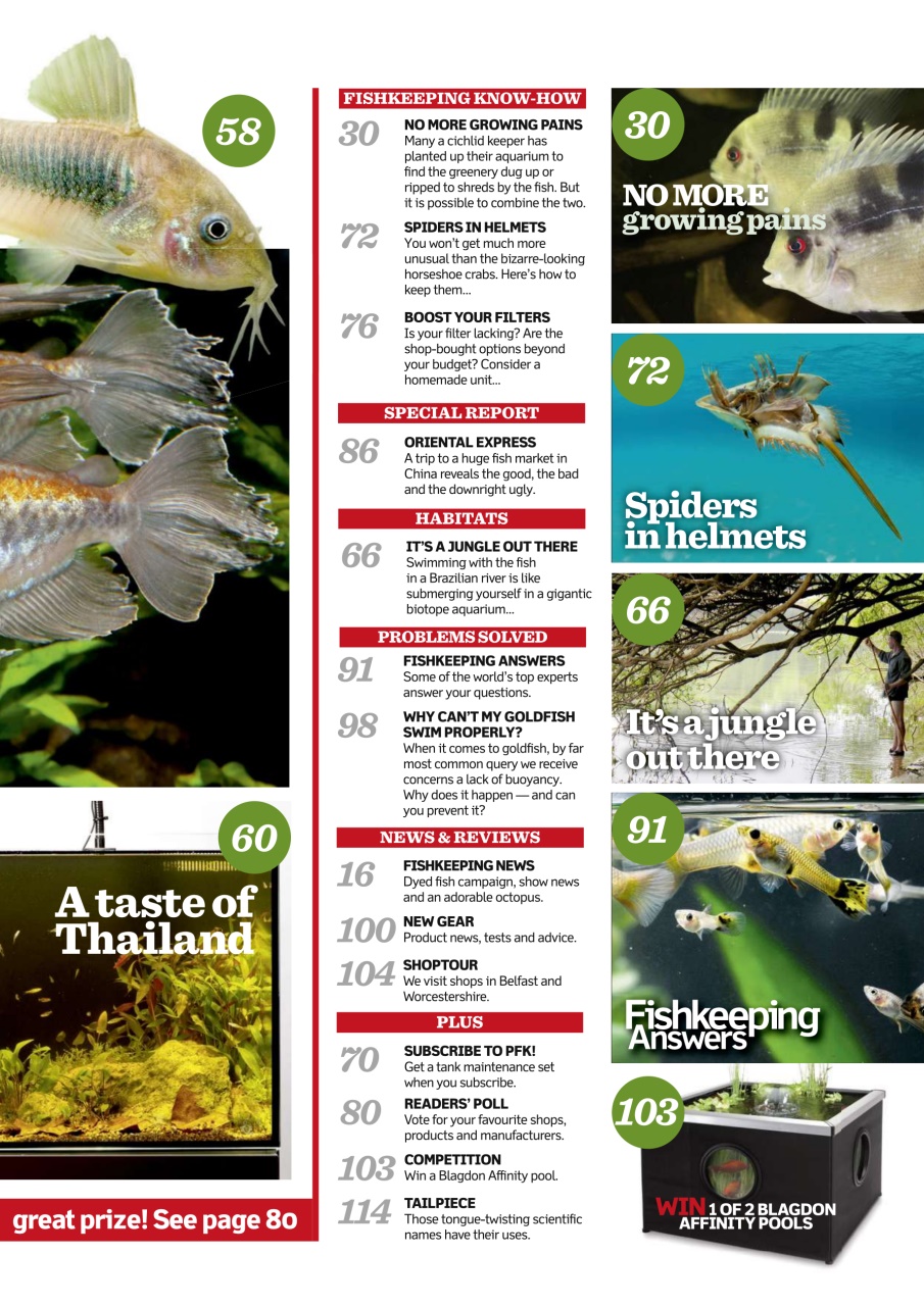 Practical Fishkeeping Preview Pages