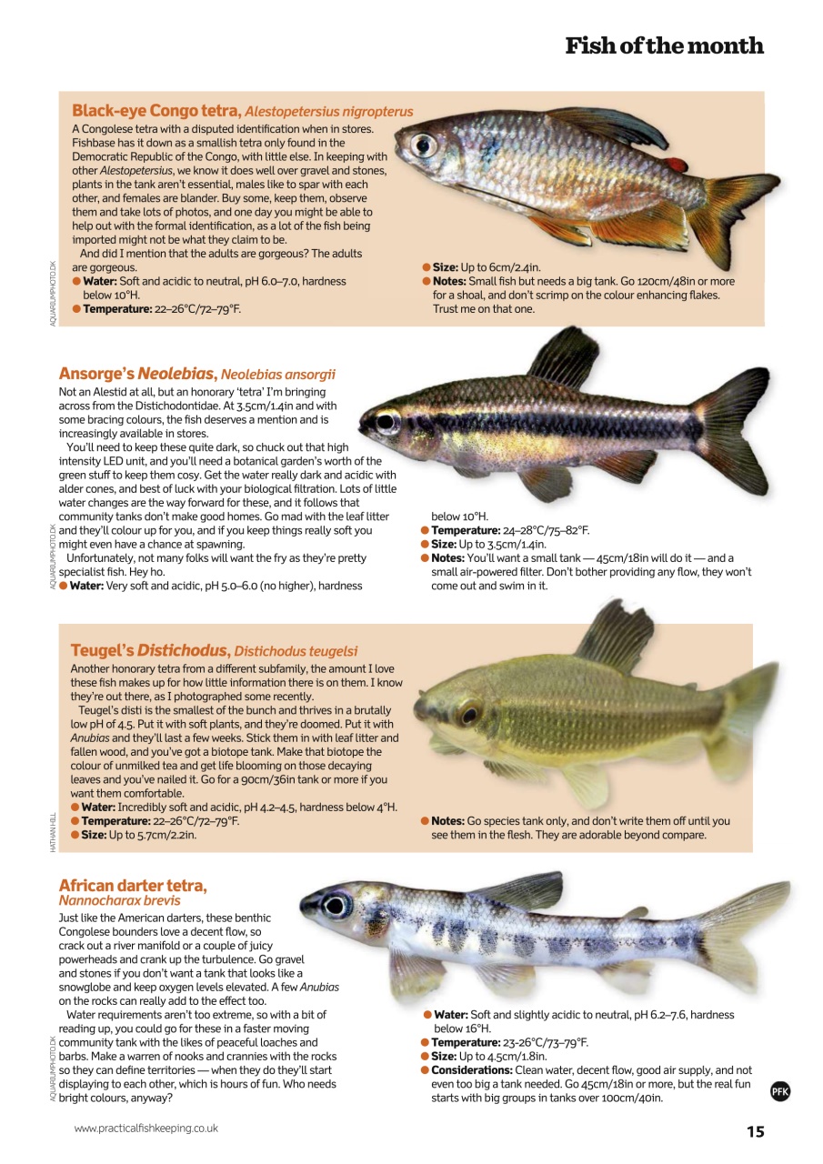 Practical Fishkeeping Preview Pages
