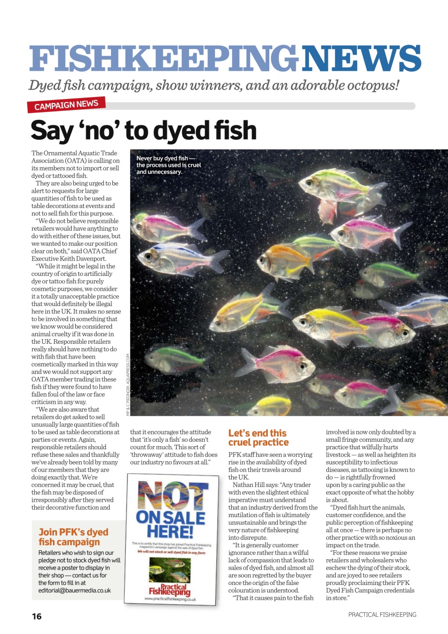 Practical Fishkeeping Preview Pages