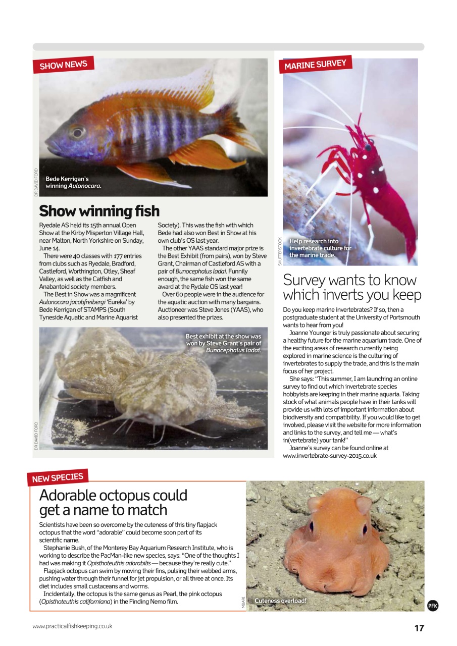 Practical Fishkeeping Preview Pages