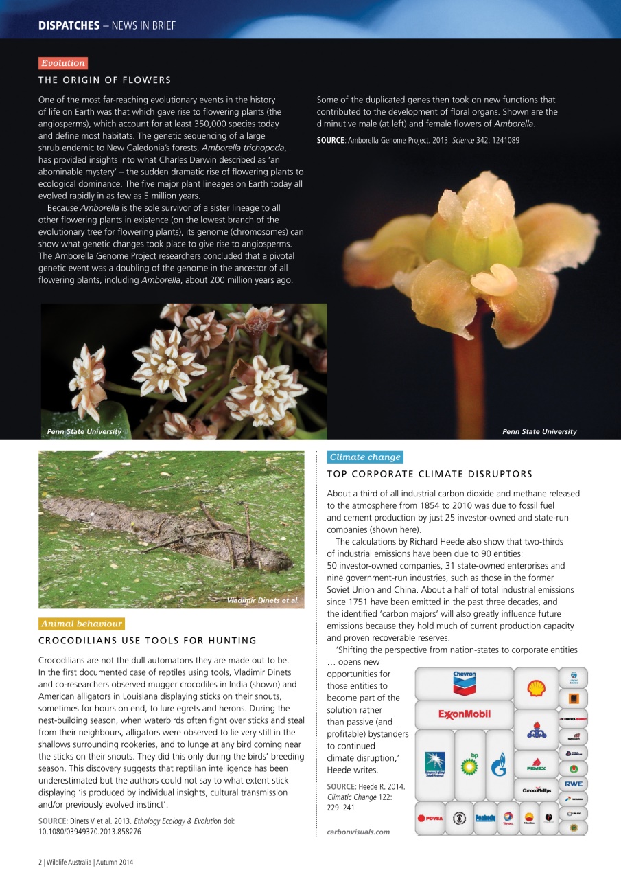 Wildlife Australia Preview Pages