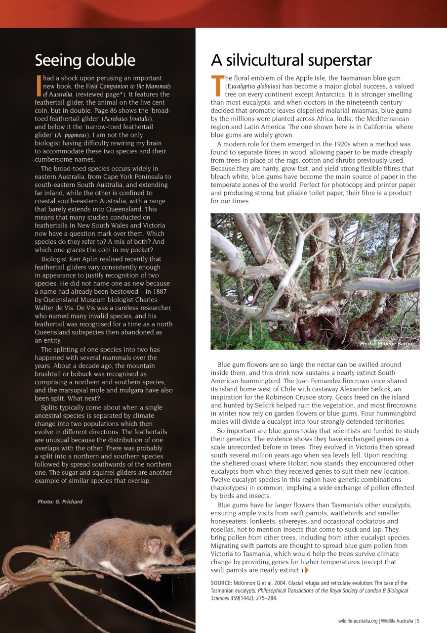 Wildlife Australia Preview Pages