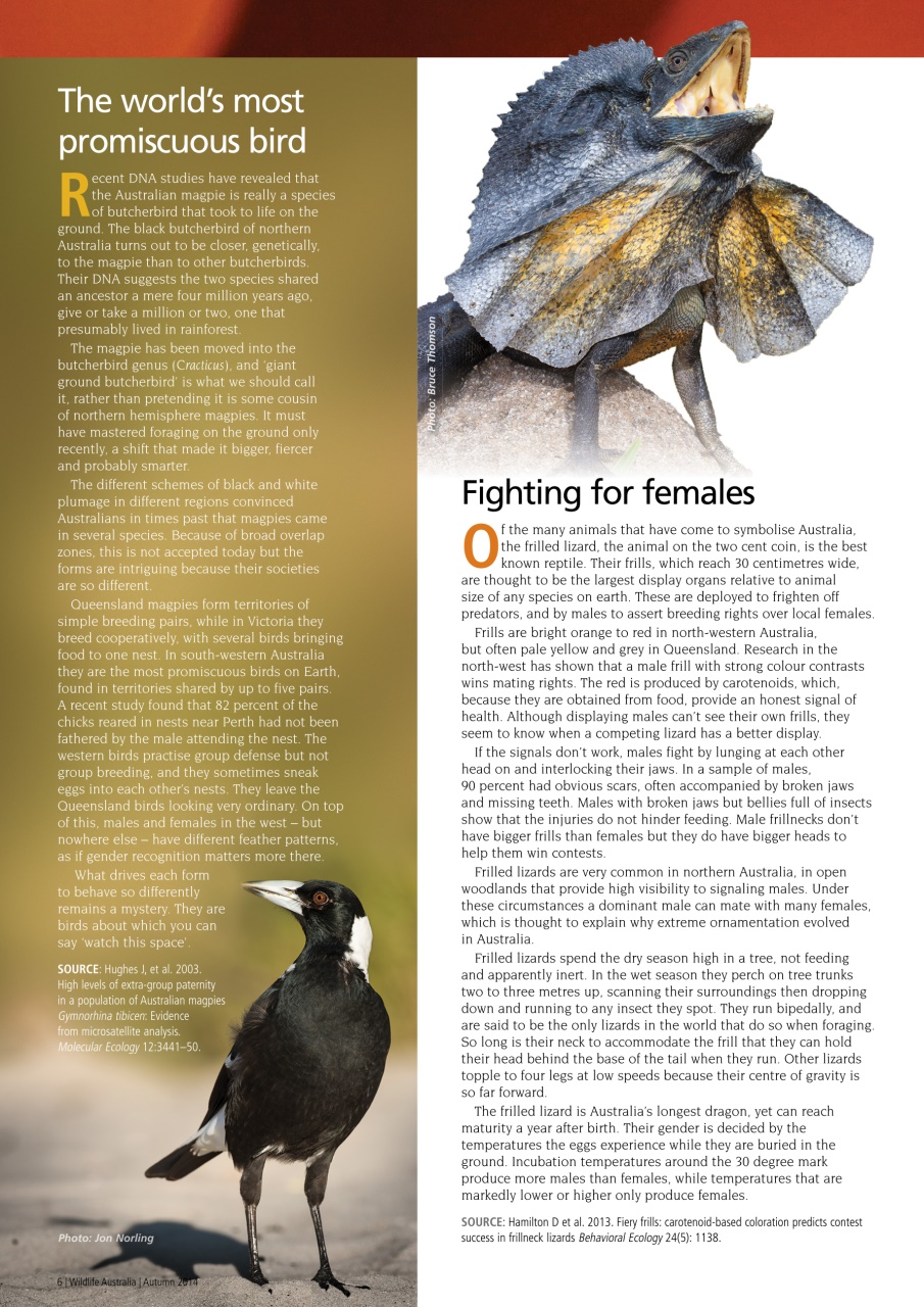 Wildlife Australia Preview Pages