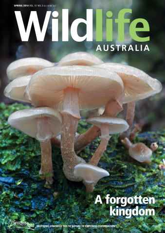 Wildlife Australia issue Wildlife Australia Spring 2014