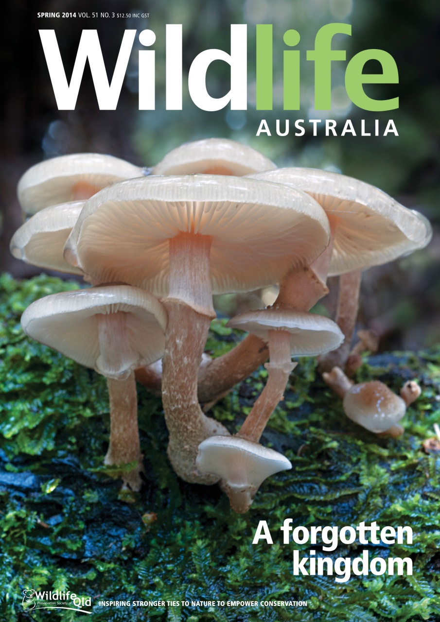 Wildlife Australia Preview Pages
