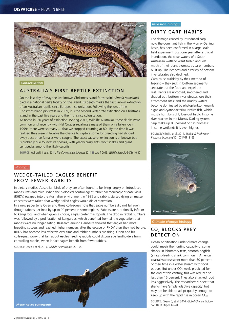 Wildlife Australia Preview Pages