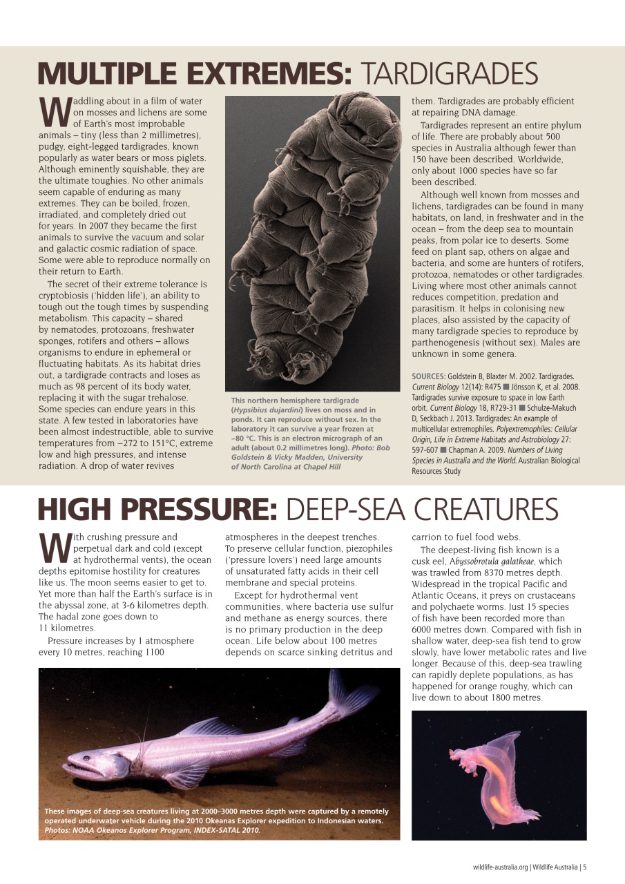 Wildlife Australia Preview Pages