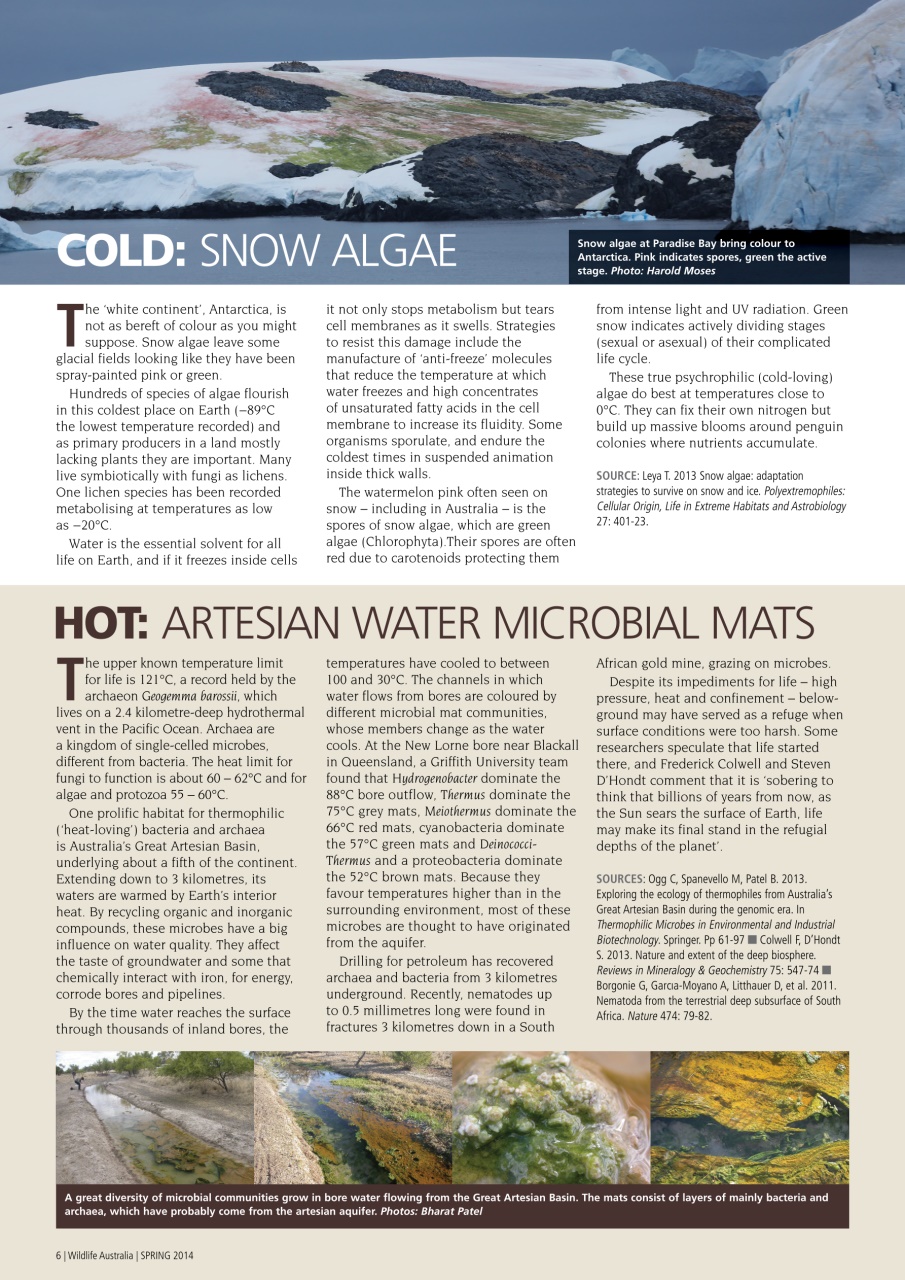 Wildlife Australia Preview Pages