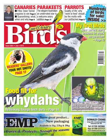 Cage & Aviary Birds issue No.5861 Food Fit For Whydahs